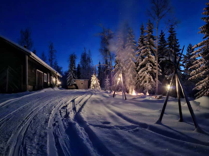 Rovaniemi: Self-drive Husky ride with a Reindeer Farm visit - Engaging Self-Drive Husky Sleigh Through Lapland’s Forests
