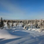 Rovaniemi: Snowcat Aurora Tour to a Lappish Hut with a View - Starting the Adventure: Pickup and Journey