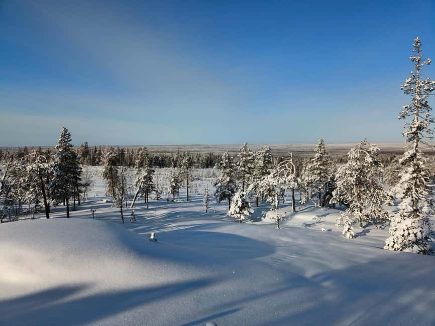 Rovaniemi: Snowcat Aurora Tour to a Lappish Hut with a View - Starting the Adventure: Pickup and Journey
