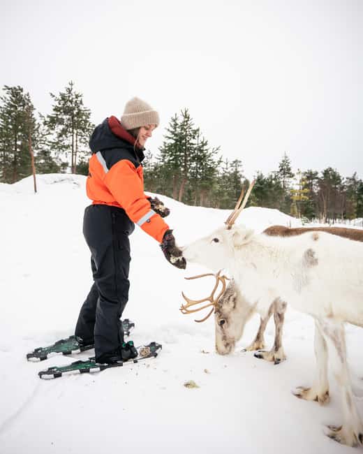 Rovaniemi: Snowshoe trip to meet reindeer - Equipping Yourself for the Arctic: Snowshoes, Clothing, and Comfort