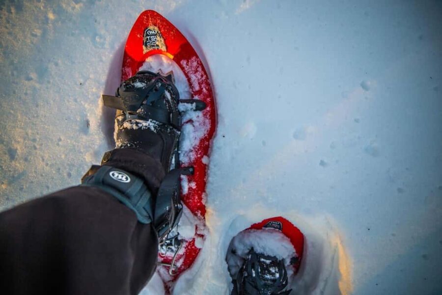 Rovaniemi: Snowshoeing Adventure with warm Drinks - The Break with Warm Drinks and Photos in Lapland’s Wilderness