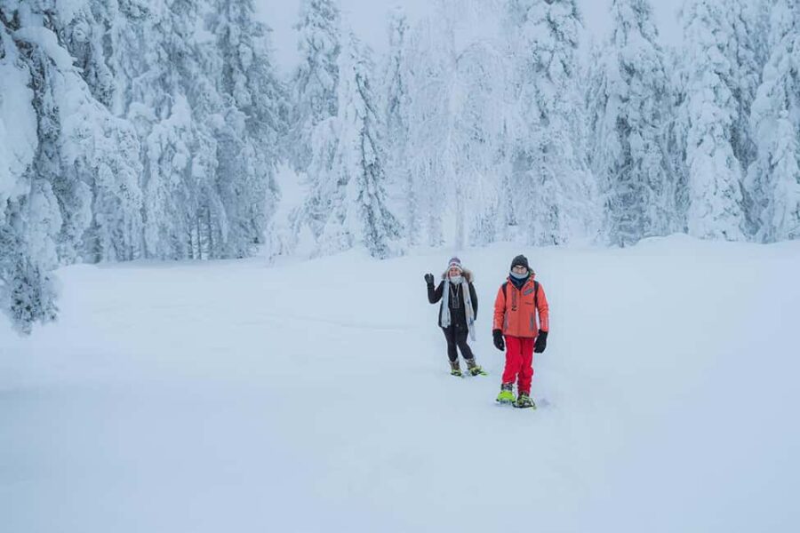 Rovaniemi: Snowshoeing in the Frozen Forest - From Hotel Lobby to Snow-Covered Pine Forests