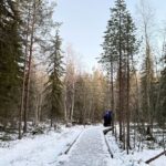 Rovaniemi Vikaköngäs Sightseeing & Photography Tour - Vikaköngäs Rapids and Forest Hike Along the River