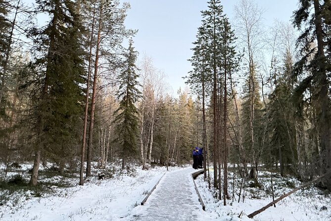 Rovaniemi Vikaköngäs Sightseeing & Photography Tour - Vikaköngäs Rapids and Forest Hike Along the River