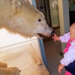 Rovaniemi walking tour and guided Arktikum experience - Exploring Lordi’s Square: Rovaniemi’s Central Hub