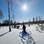 Rovaniemi: Winter Horseback Ride on Snowy Hills and Forests - Exploring Snowy Forests and Hills on a Guided Horseback Ride