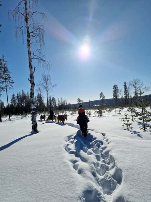 Rovaniemi: Winter Horseback Ride on Snowy Hills and Forests - Exploring Snowy Forests and Hills on a Guided Horseback Ride
