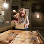 Royal BC Museum Admission Ticket - Exhibits Covering BCs Natural and Human History