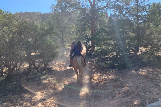 Ruby's Horseback Adventures Utah Half Day Ride - Horses That Make Riding Easy and Enjoyable