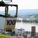 Rüdesheim: Private Guided Walking Tour - Starting Point Next to the Rüdesheim Cable Car