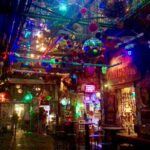 Ruin Pub Walking Tour with a Local Hostess in Budapest - Discovering Budapest’s Public Transport and Districts at Deak Ferenc Square