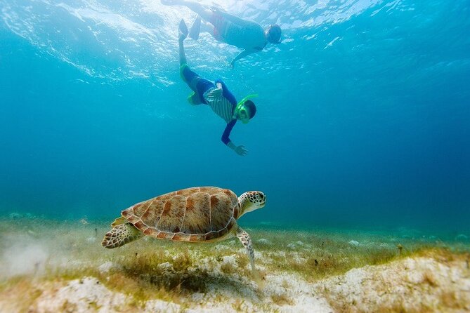 Ruins Sea Turtles and Cenote Adventure in Tulum - Discover the Tulum Archaeological Site and Its Famous Landmarks
