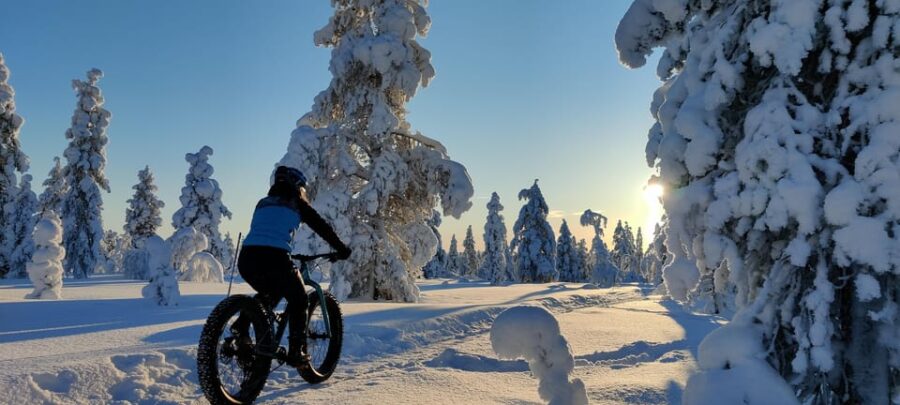 Saariselkä: Guided Fatbike Tour - Starting Point in Saariselkä Village: The Tour Begins at Your Doorstep