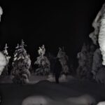 Saariselkä: Snowshoeing Tour in Urho Kekkonen National Park - Discover the Snowy Trails of Urho Kekkonen National Park in Saariselkä