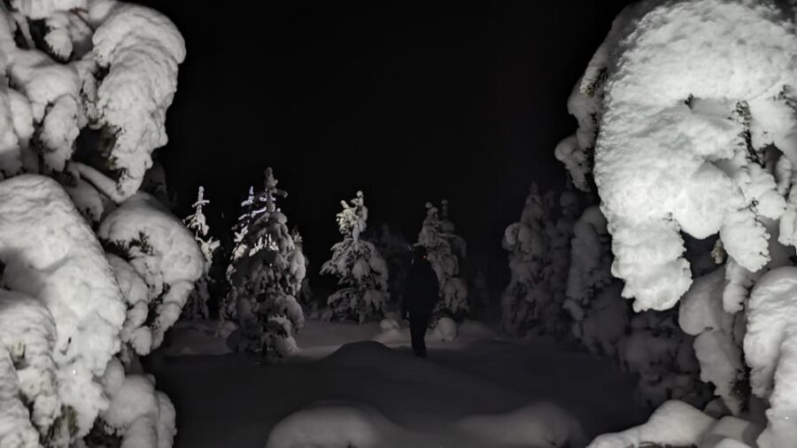 Saariselkä: Snowshoeing Tour in Urho Kekkonen National Park - Discover the Snowy Trails of Urho Kekkonen National Park in Saariselkä