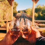 Sacramento: Old Vine Express Train Ride with Wine Tasting - The Scenic Ride Through West Sacramento’s Wine Region