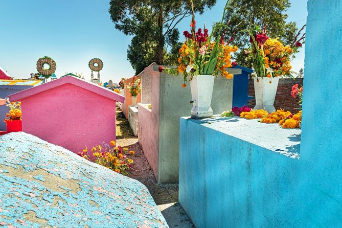 Sacred Souls: Dia de los Muertos Cultural Tour - The Origins and Significance of the Día de los Muertos Tour in Cozumel