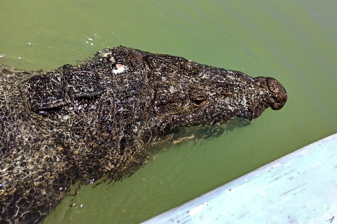 Safari in Rio Lagartos, Coloradas and Mayan Bath - Las Coloridas: The Iconic Pink Salt Ponds