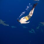 Safe and Educational Shark Dive from Haleiwa: Sharks Guaranteed - What Makes the Shark Research and Education Dive Special?