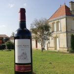 Saint-Émilion: 2 hours - Visit of the vineyard, the cellar and tasting - Touring the Vineyards and Vine Plots