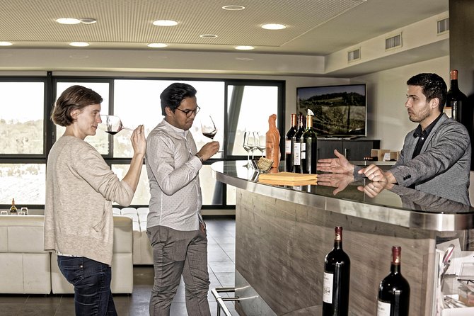 Saint-Emilion Grand Cru Classé: Visit & Tasting in English - Exploring the Cellars of Château Tour Baladoz