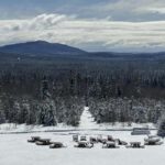 Sainte-Apolline-de-Patton: Guided Wolf Sanctuary Tour - Meet the Expert Guides at LUPO Wolf Sanctuary