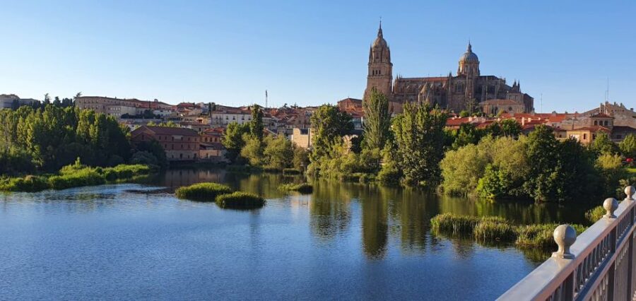 Salamanca: Private tour of the most important sites - Starting Point and Convenient Pickups in Salamanca