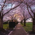 Salem: Witch Trial Walking Tour - The Tours Core Locations and Their Significance