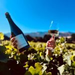 Salinas Valley, CA: Wine tasting experience - Location and Setting at Odonata Wines