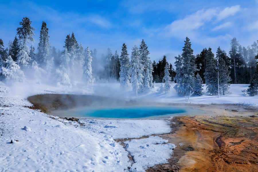 Salt Lake City: 4-Day Yellowstone & Grand Teton Winter Tour - Exploring Wyoming’s Scenic Towns and Wildlife in Idaho Falls