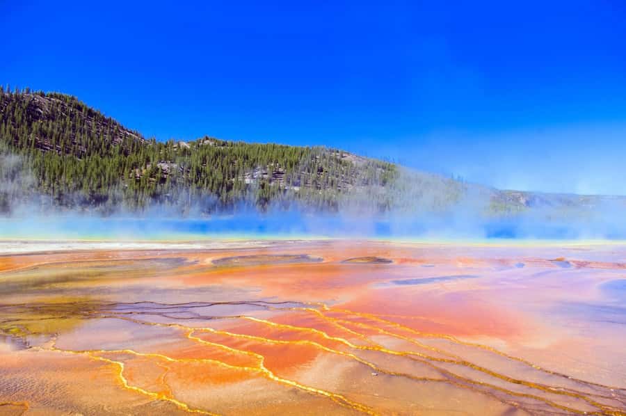 Salt Lake City: Yellowstone & Grand Teton 4-Day Tour - Yellowstone’s Geothermal Marvels Like Grand Prismatic Spring and Old Faithful