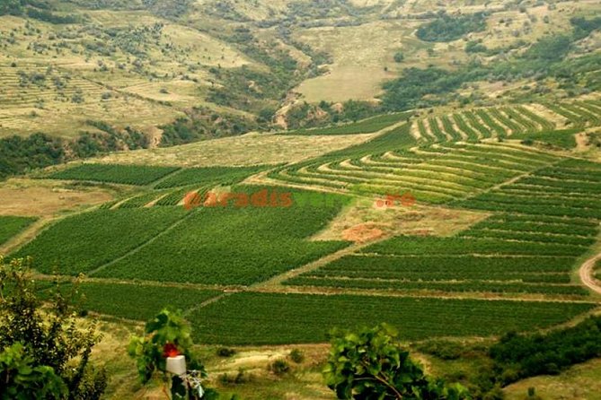 Salt Mine , Lunch at Winery Dracula Grave- Private Tour - Tasting Romanian Wines at Chitorani Wine Cellar