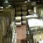 Salt Mine & Mud Volcanoes - Discovering the Lunar Landscape of Muddy Volcanoes