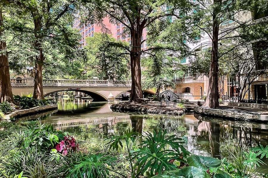 San Antonio: Alamo, River & Cathedral Legends Walk - Walking Through the Heart of San Antonio’s History