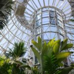 San Antonio: Botanical Garden Admission Ticket - Exploring the Formal Gardens and Native Texas Plants