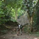 San Cristobal: 3 Days Expedition of North Lacandona Jungle - Starting the Adventure: From San Cristóbal to Agua Azul and Misol-ha