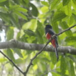 San Cristobal: 4 Days Nature Tour in the Lacandon Jungle - Visiting the Majestic El Chiflón Waterfall and Montebello Lakes