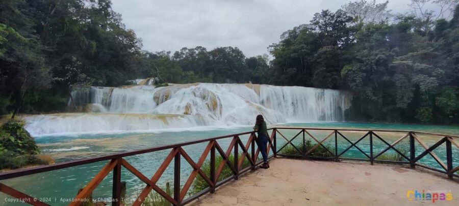 San Cristobal: Agua Azul, Misol Ha & Palenque Experience - Exploring the Stunning Agua Azul Waterfalls