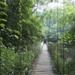 San Cristóbal: Las Nubes Waterfall & Comitán Tour - From San Cristóbal to the Scenic Las Nubes Waterfall