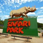 San Diego Explorer Pass: Tickets to 2-7 Attractions - Choosing Between the Zoo and Safari Park