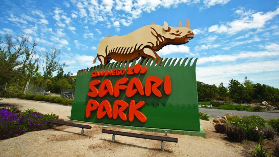 San Diego Explorer Pass: Tickets to 2-7 Attractions - Choosing Between the Zoo and Safari Park