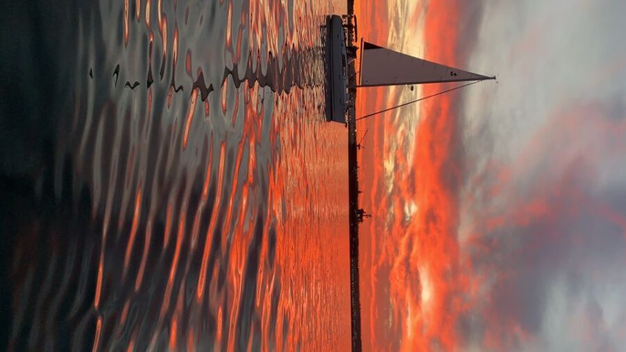 San Diego: San Diego Bay Sunset & Daytime Sailing Experience - The Scenic Route and Highlights on San Diego Bay