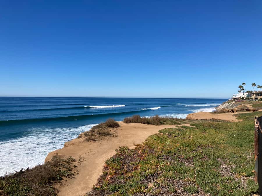 San Diego: Surf Coaching Experience With a Local Pro Surfer - How the Surf Coaching Tour Begins in San Diego