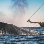 San Diego: Whale Watching Cruise on the Yacht America - Setting Sail from Shelter Island Drive with Clear Instructions