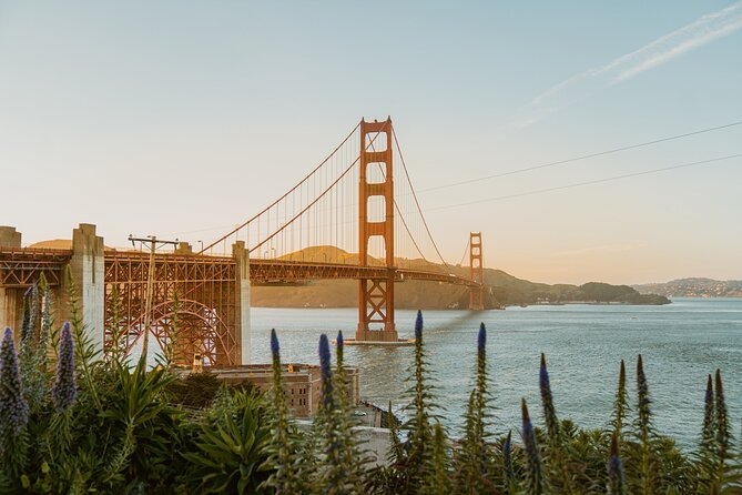 San Francisco Airport Transfer to SFO City (Special Offer) - Pickup Locations and Meeting Details at SFO