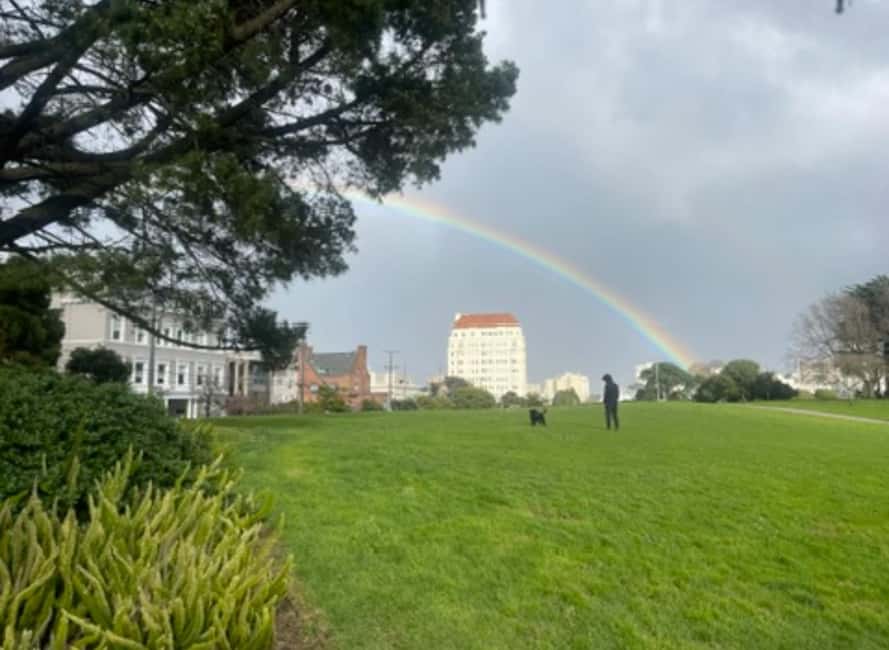 San Francisco: Billionaire's Row & Palace of Fine Arts Tour - Exploring the Glamorous Neighborhood of Billionaire’s Row
