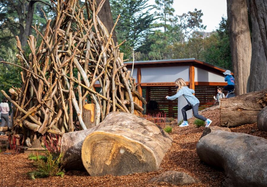 San Francisco: California Academy of Sciences Entry Ticket - Exploring the Aquarium and Coral Reef Exhibits
