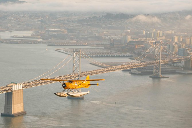 San Francisco City Sights Seaplane Tour - The Bay’s Landmarks and Cityscapes from Above