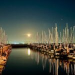 San Francisco City Tour in a Mercedes Sprinter Van - Discover the Palace of Fine Arts Theatre