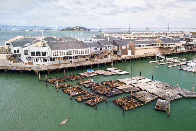 San Francisco Fisherman's Wharf Private 1-Hour Walking Tour - Visiting The Buena Vista: The Irish Coffee Landmark